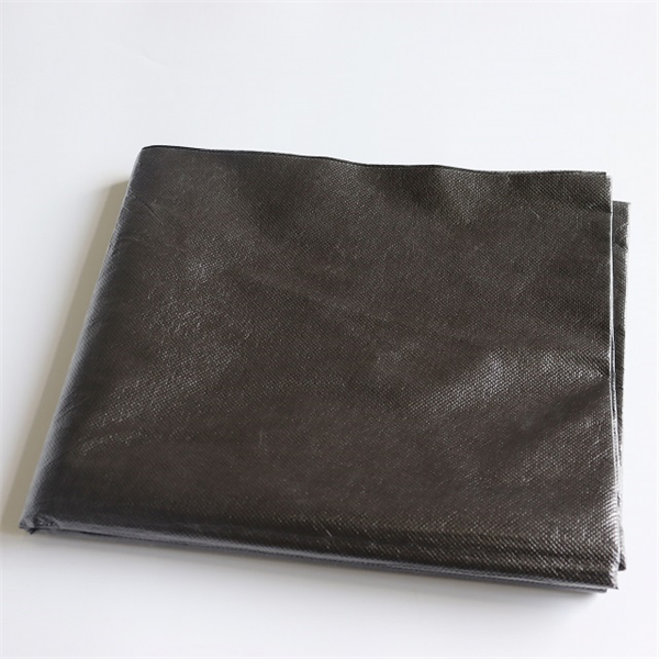 Black Drape Sheet